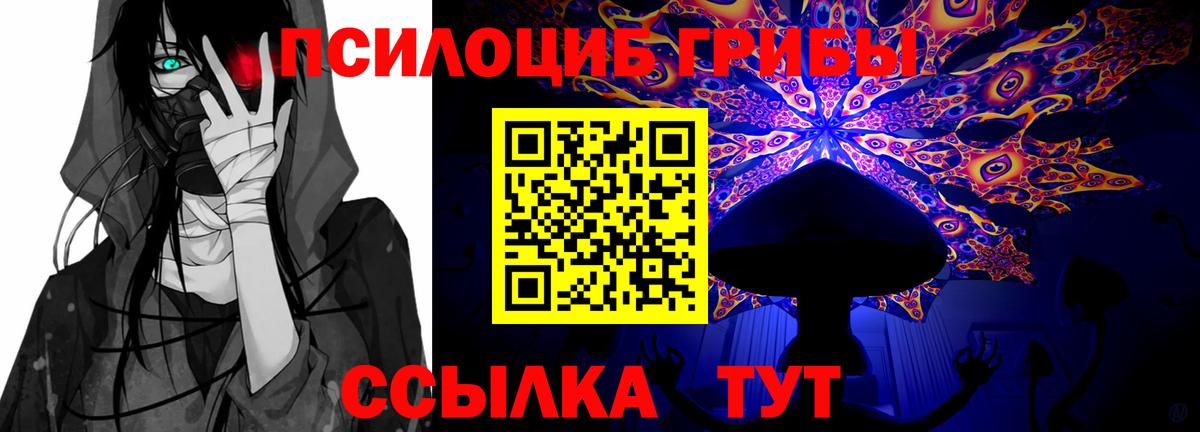 Галлюциногенные грибы прущие грибы Улан-Удэ