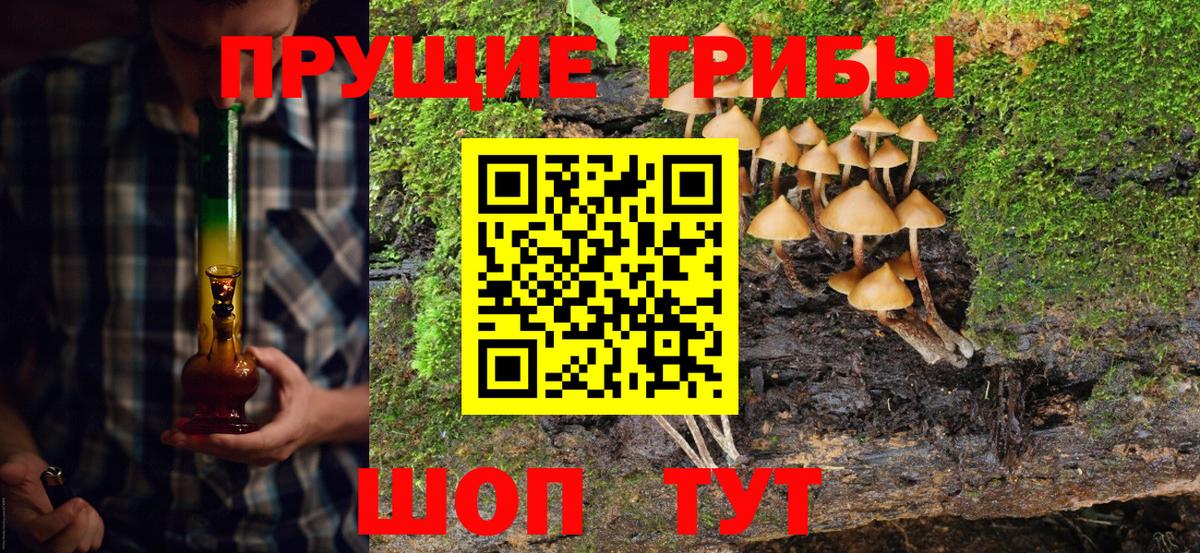 Улан-Удэ  закладки  Вход с VPN  Галлюциногенные грибы ЛСД  Галлюциногенные грибы Cubensis 